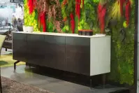 Les buffets - Triss (8)
